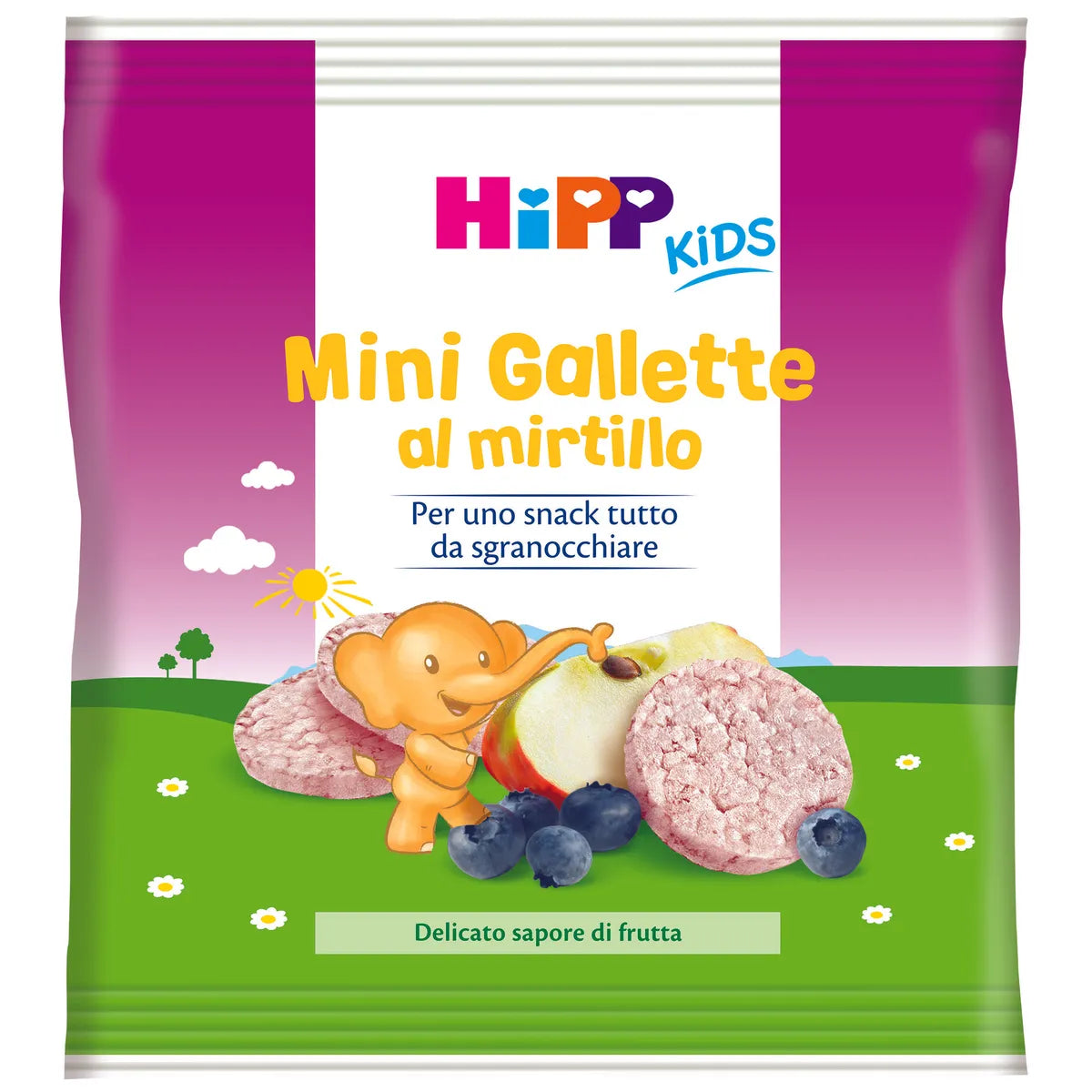 Hipp Mini Gallette di Riso al Mirtillo 30g
